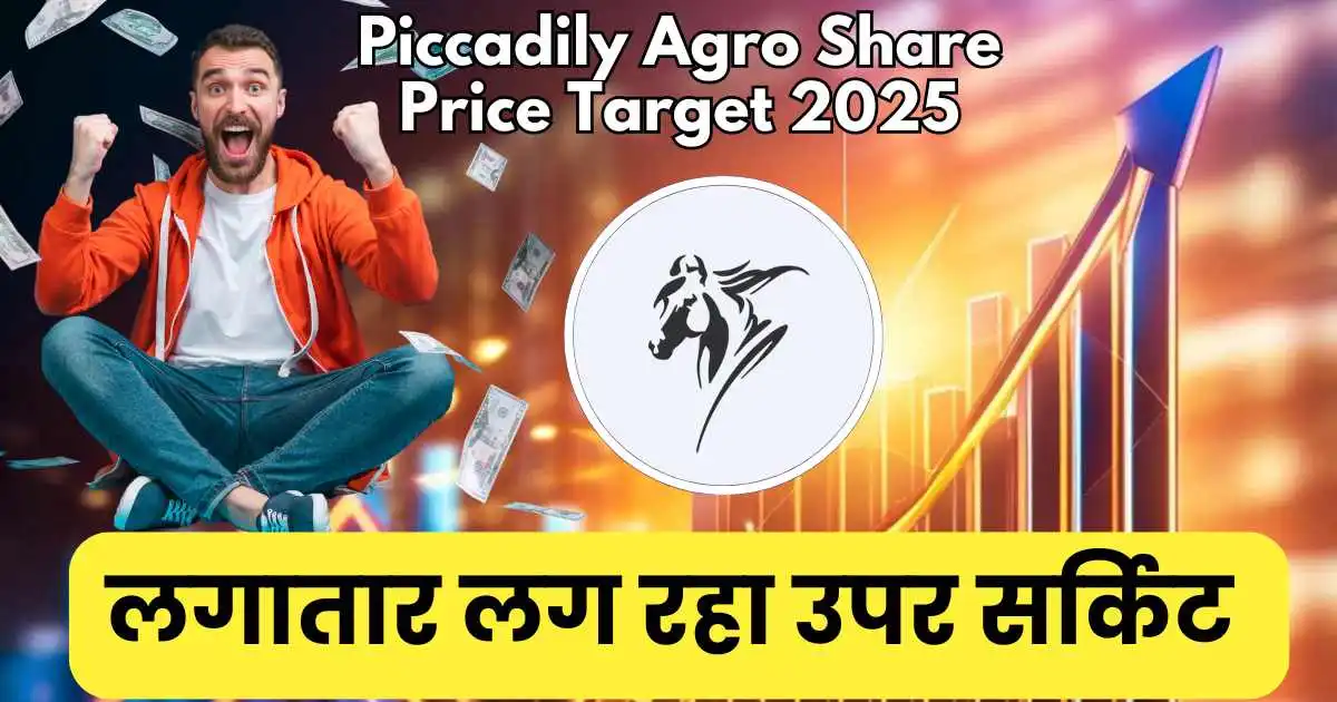 piccadily agro share price target 2025