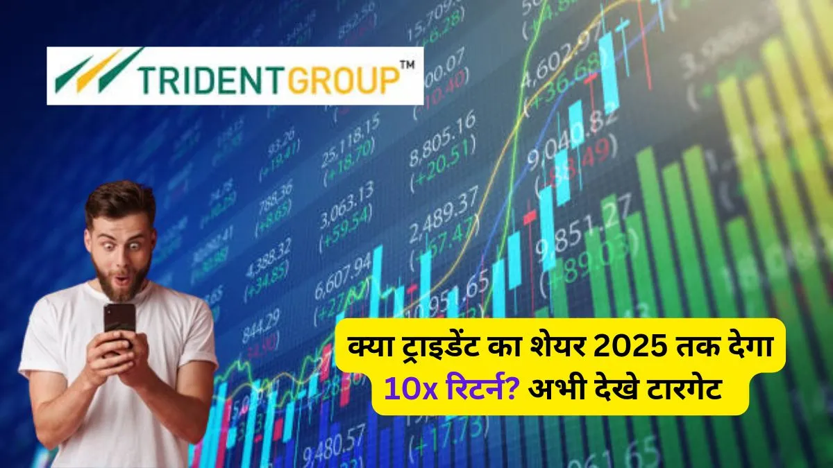 Trident Share Price Target 2025 in hindi